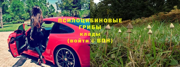 амф Гусев