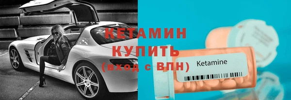амф Гусев