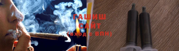 амф Гусев