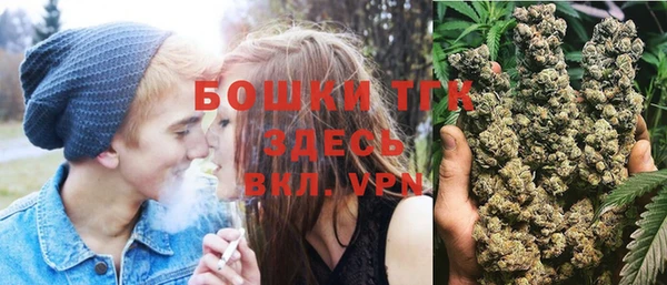 амф Гусев
