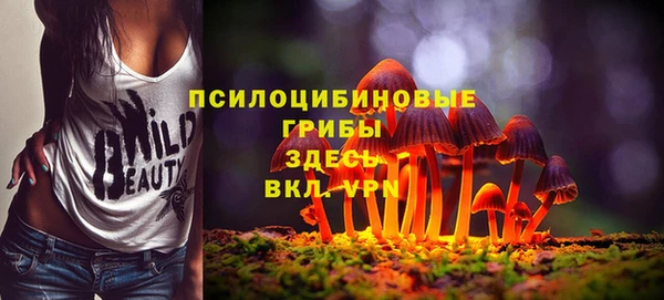 дмт Гусиноозёрск