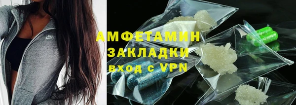 амф Гусев