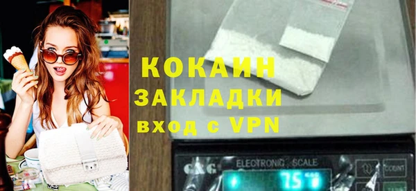 амф Гусев